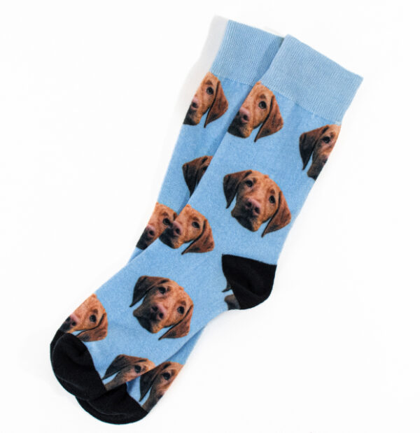 Custom Pet Socks - Image 8