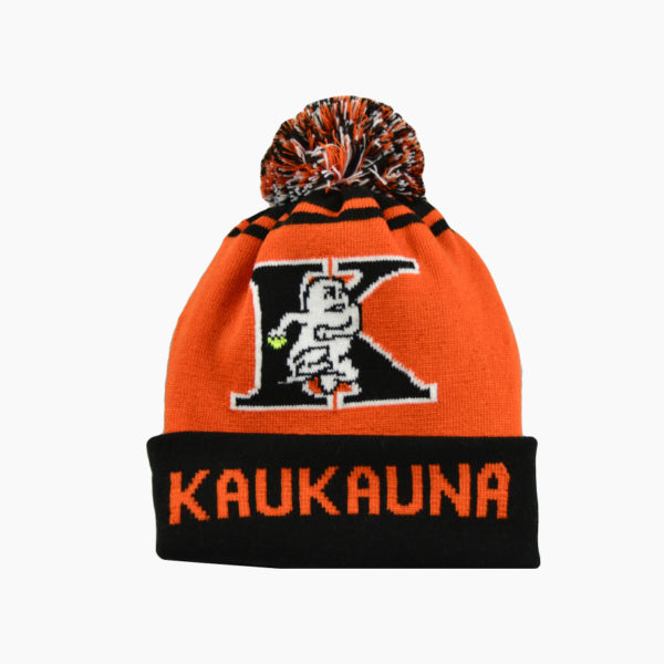 a knit hat with a pom