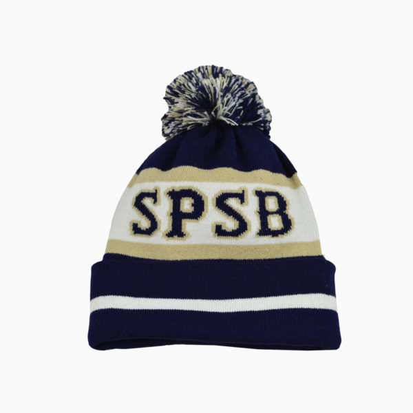 a blue and white knit hat with a pom
