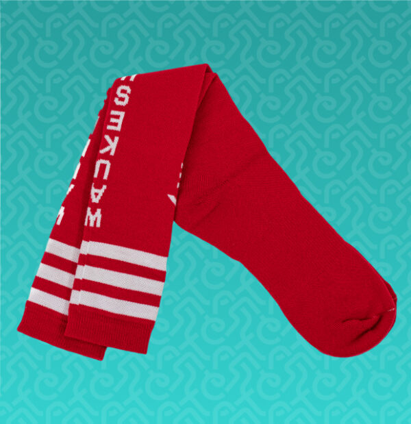 Speedy Performance Socks - Image 5